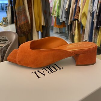 Toral TL-Oda Orange