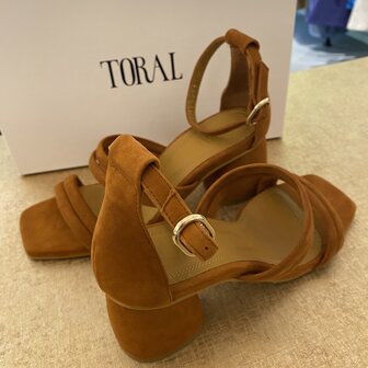 Toral TL-Viola 